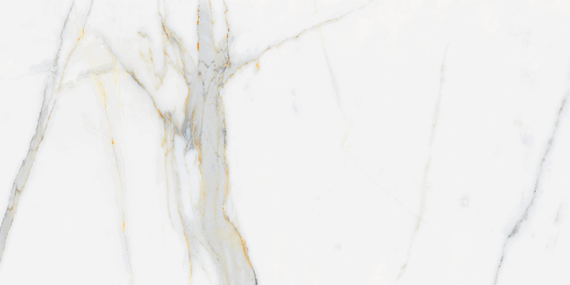 CARRARA GOLD 60X120-1.jpg (1)