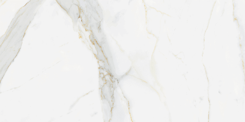 CARRARA GOLD 60X120-2.jpg (1)