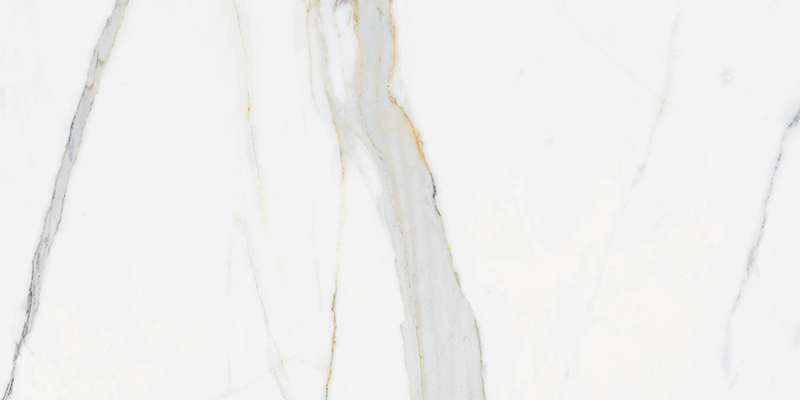 CARRARA GOLD 60X120-4.jpg (1)