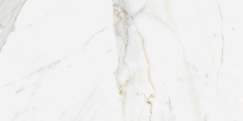 CARRARA GOLD 60X120-5.jpg (1)