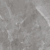 PULPUS GRIS