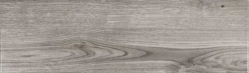 GDM19003 ANDREA GRIS FONCE 18X60-1.jpg (1)