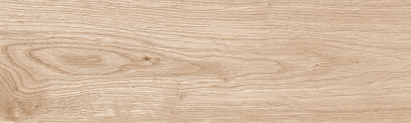 GDM19051 NEW ANDIRA MARRON STR 18X60-1.jpg (1)
