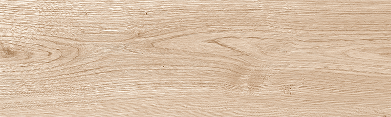 GDM19051 NEW ANDIRA MARRON STR 18X60-2.jpg (1)