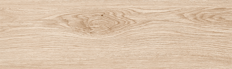 GDM19051 NEW ANDIRA MARRON STR 18X60-4.jpg (1)