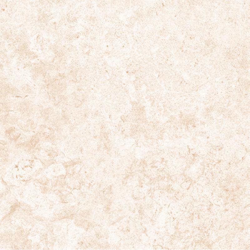 Madras blanc (2) (1)